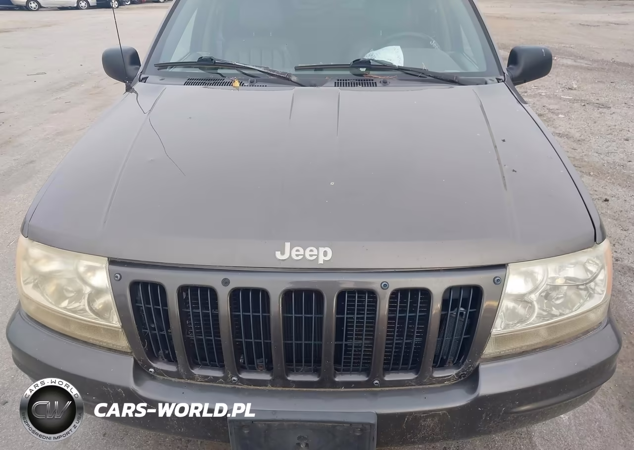 1999 Jeep Grand Cherokee Limited VIN:1J4GW68N5XC738654 - 6