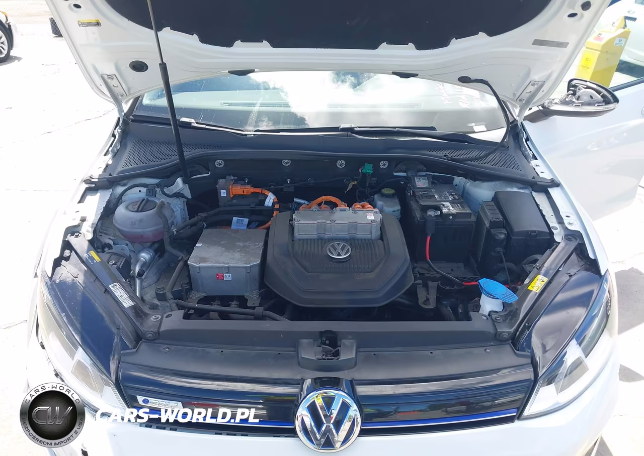 2016 Volkswagen E-Golf Se VIN:WVWKP7AU2GW904924 - 10