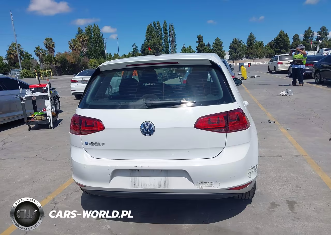 2016 Volkswagen E-Golf Se VIN:WVWKP7AU2GW904924 - 16