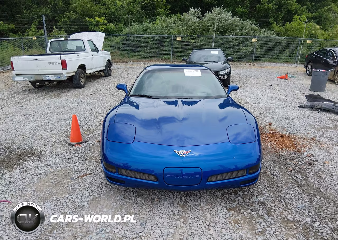 2003 Chevrolet Corvette Z06 Hardtop VIN:1G1YY12SX35105516 - 12