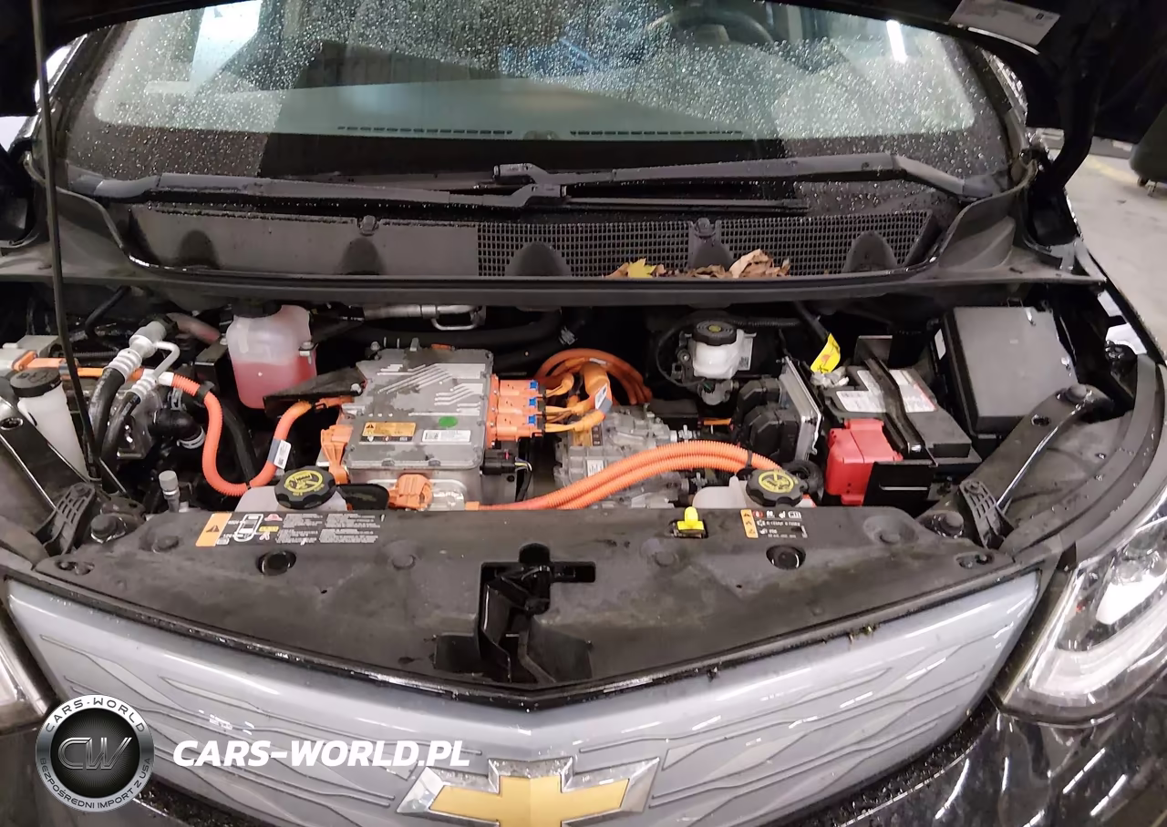 2017 Chevrolet Bolt Ev Premier VIN:1G1FX6S07H4180404 - 10