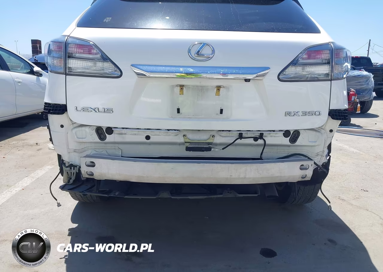 2010 Lexus Rx 350 VIN:JTJZK1BA4A2000969 - 6
