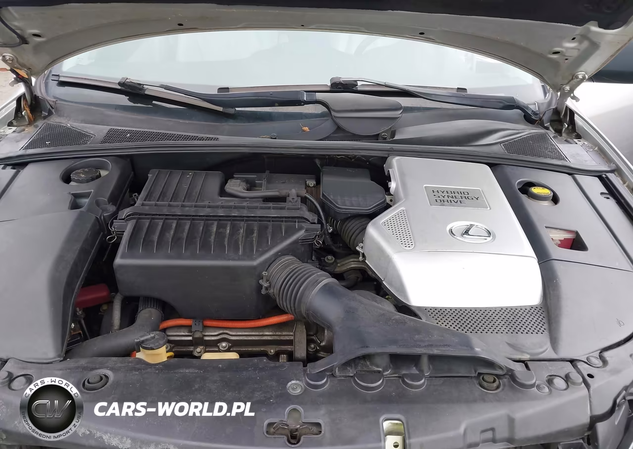 2006 Lexus Rx 400H VIN:JTJHW31U160020073 - 10