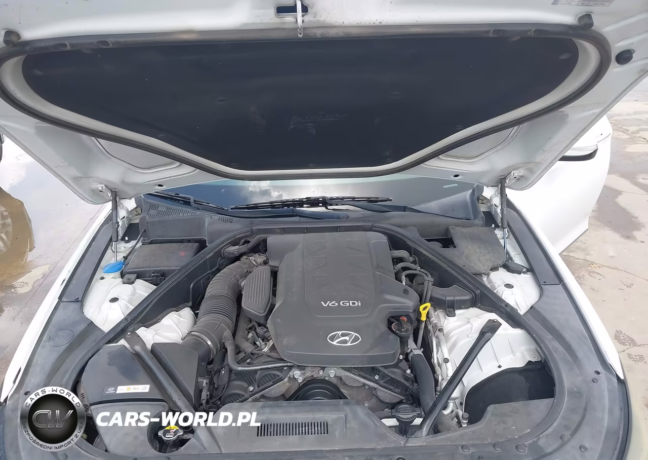 2015 Hyundai Genesis 3.8 VIN:KMHGN4JE4FU041682 - 10