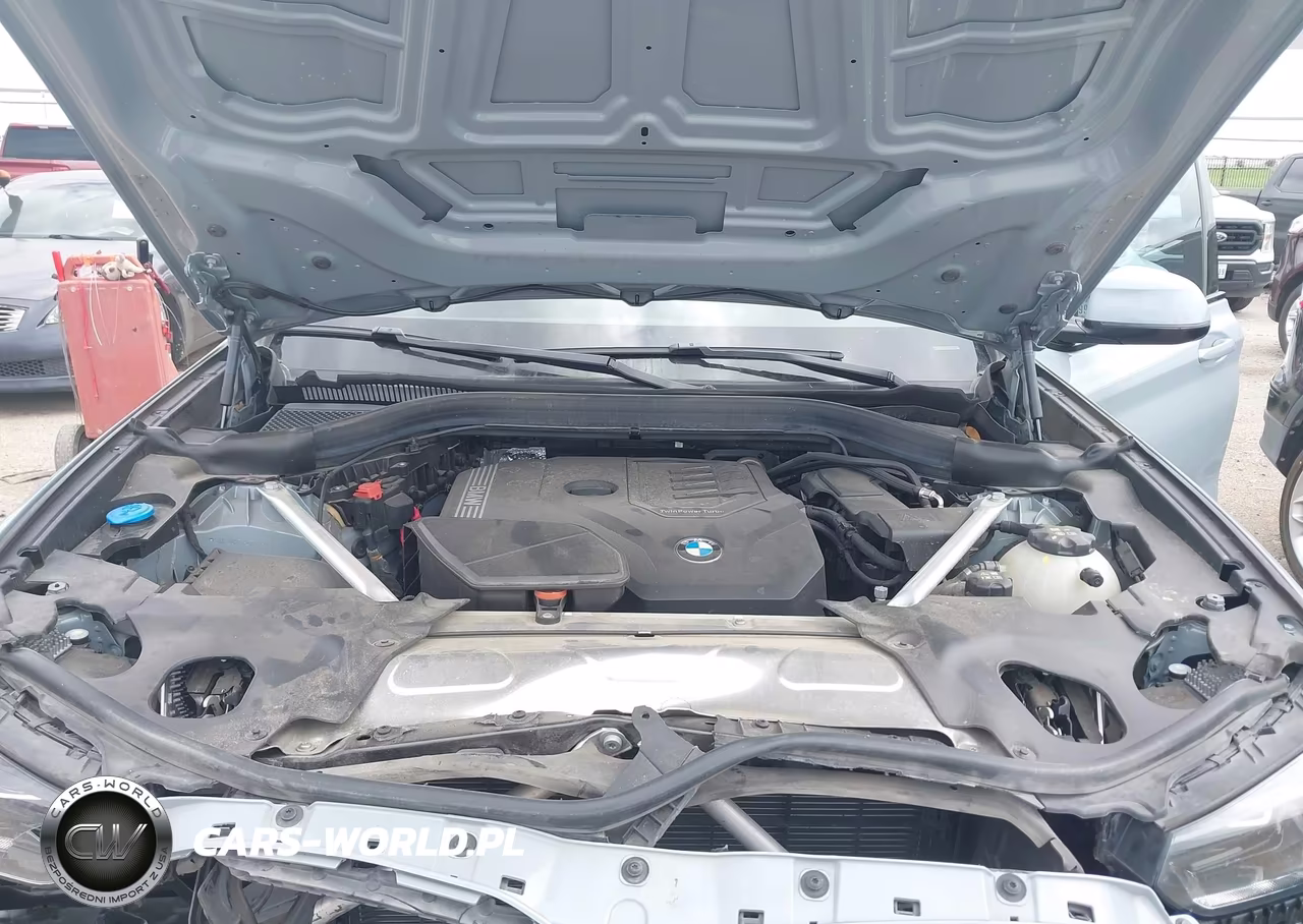2023 BMW X3 xDrive30I VIN:5UX53DP01P9R73161 - 10