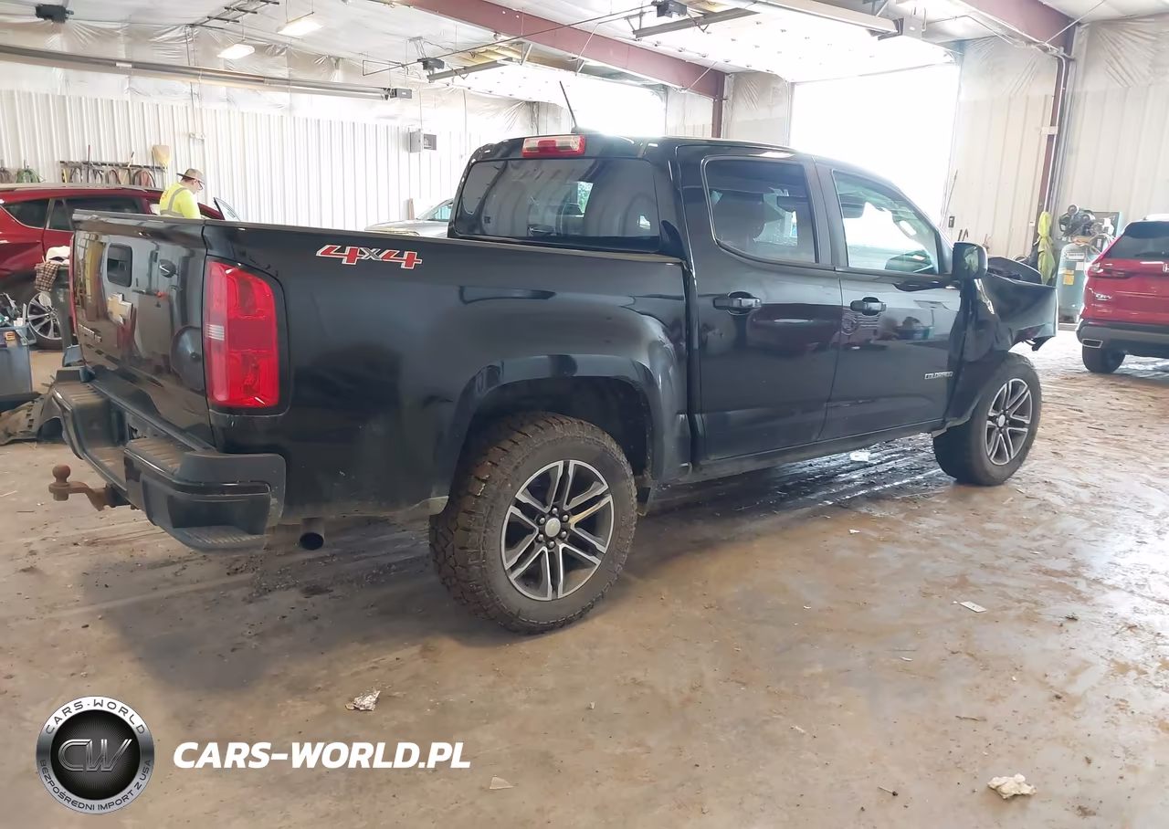 2019 Chevrolet Colorado Wt VIN:1GCGTBEN5K1300233 - 4