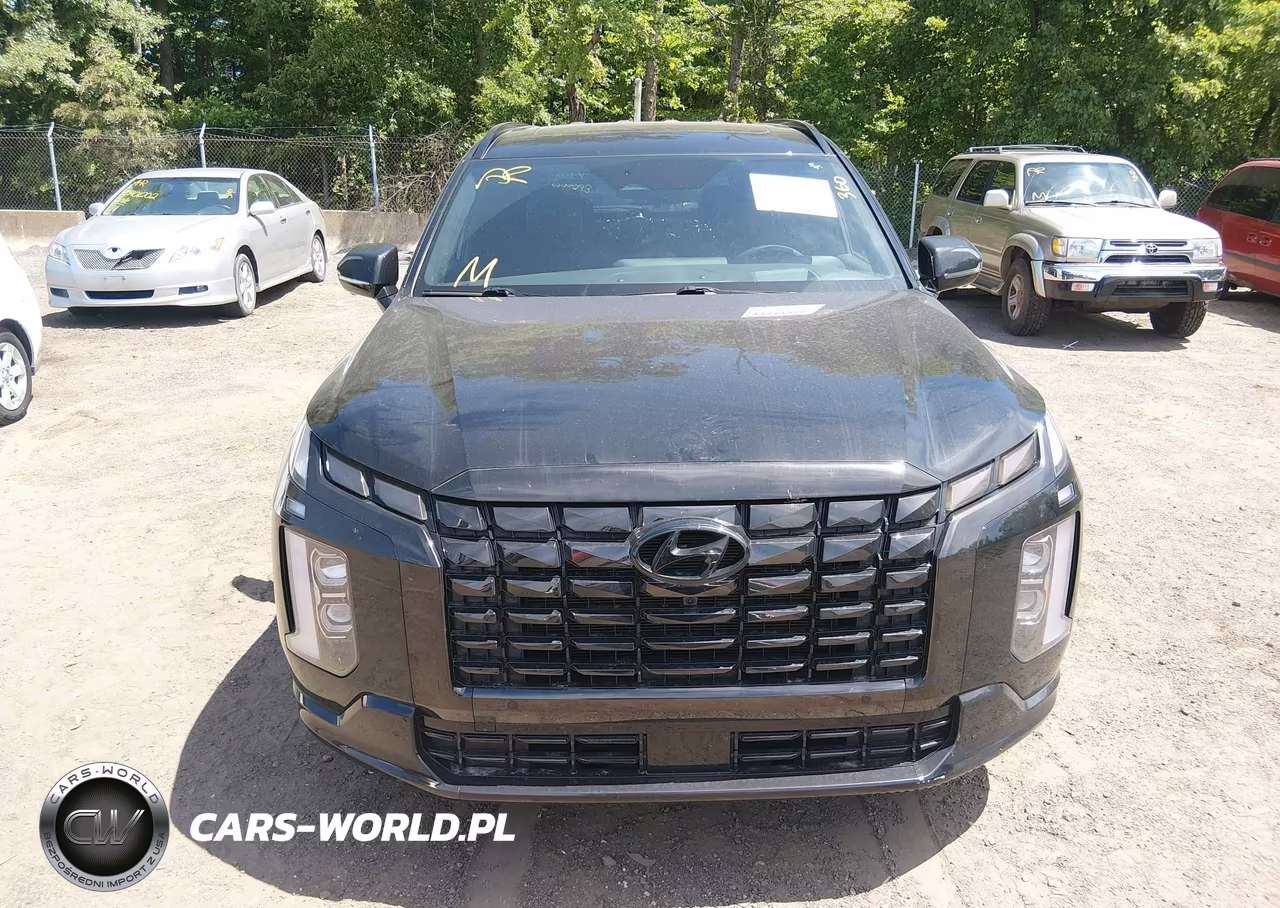 2024 Hyundai Palisade Calligraphy Night Edition VIN:KM8R7DGE0RU716877 - 12