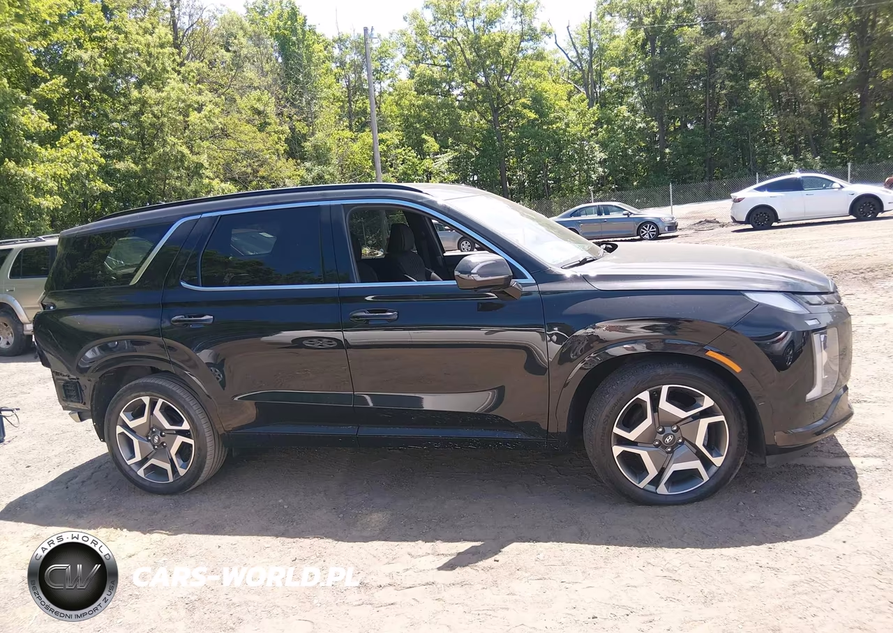 2024 Hyundai Palisade Calligraphy Night Edition VIN:KM8R7DGE0RU716877 - 13