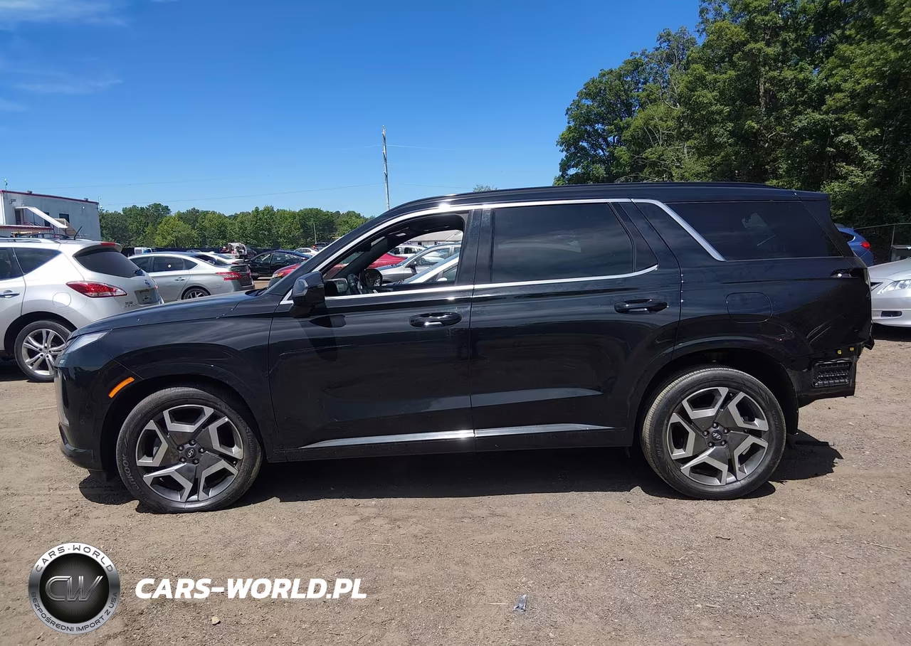 2024 Hyundai Palisade Calligraphy Night Edition VIN:KM8R7DGE0RU716877 - 14