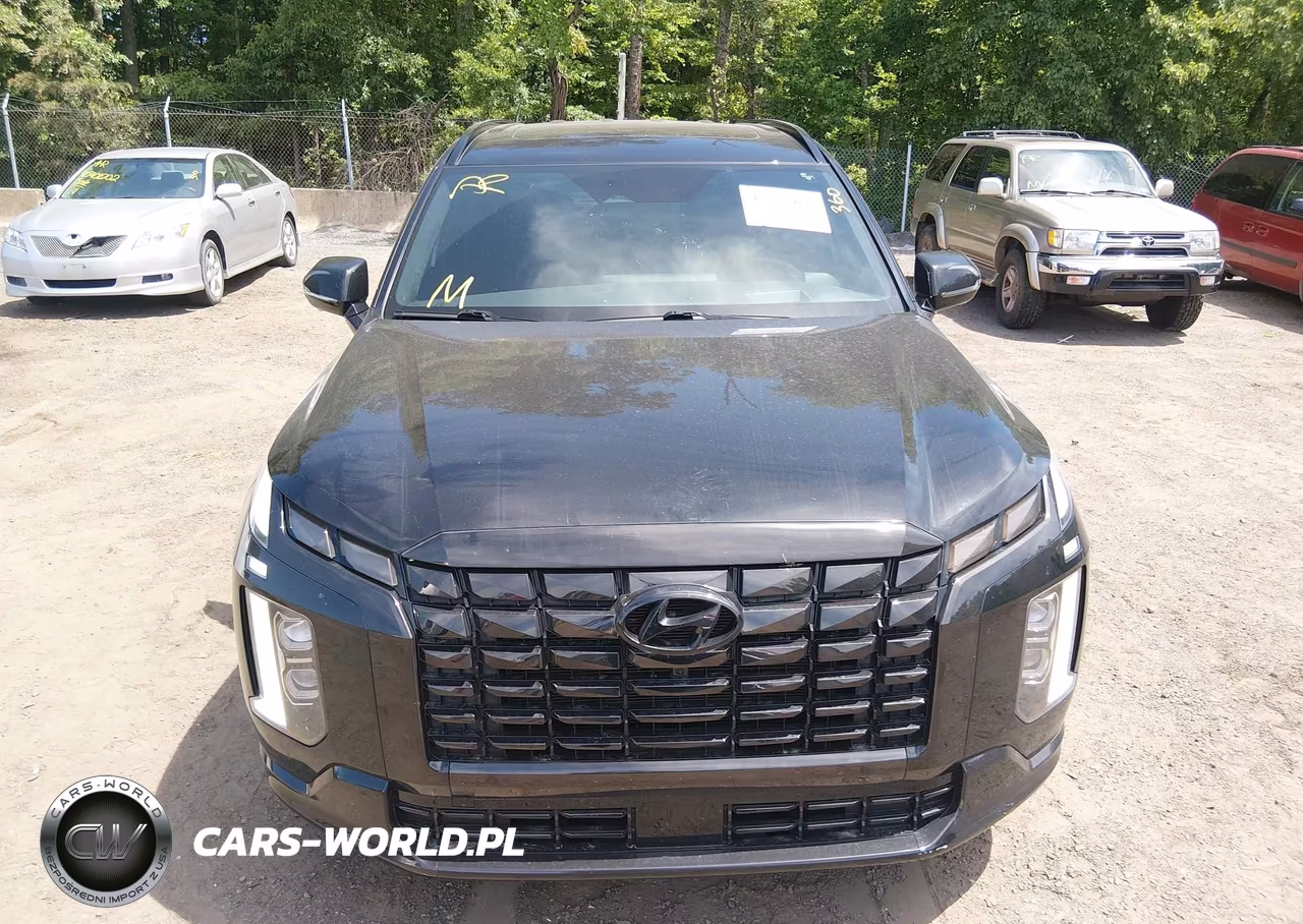 2024 Hyundai Palisade Calligraphy Night Edition VIN:KM8R7DGE0RU716877 - 6