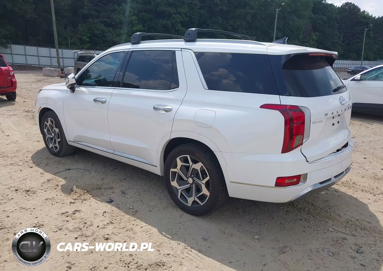 2022 Hyundai Palisade Calligraphy VIN:KM8R74HE2NU474232 - 3