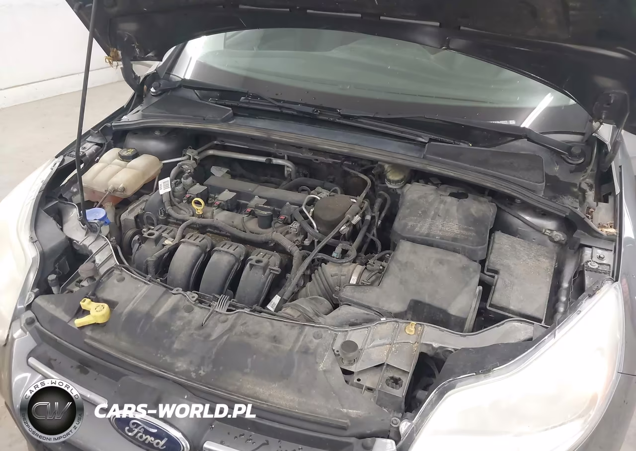 2014 Ford Focus Se VIN:1FADP3F27EL332312 - 10
