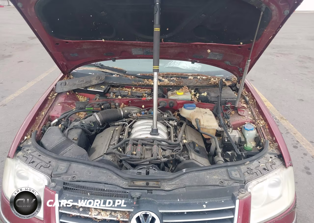 2003 Volkswagen Passat Gls V6 VIN:WVWVH63BX3E329018 - 10