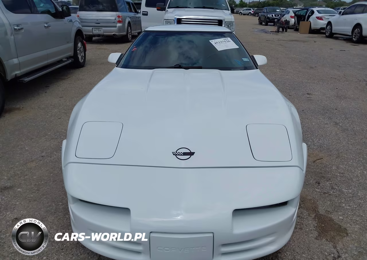 1995 Chevrolet Corvette VIN:1G1YY22P2S5115845 - 12