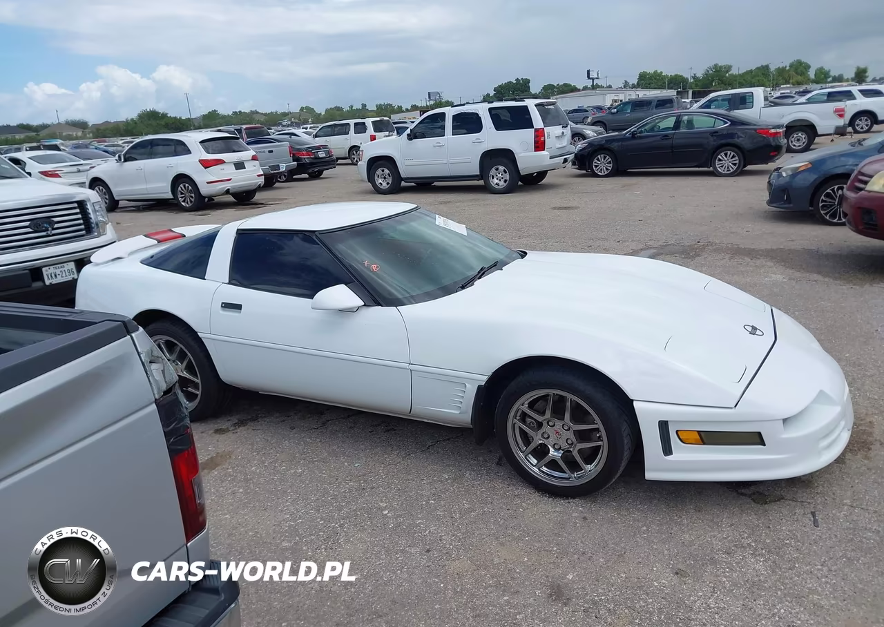 1995 Chevrolet Corvette VIN:1G1YY22P2S5115845 - 13