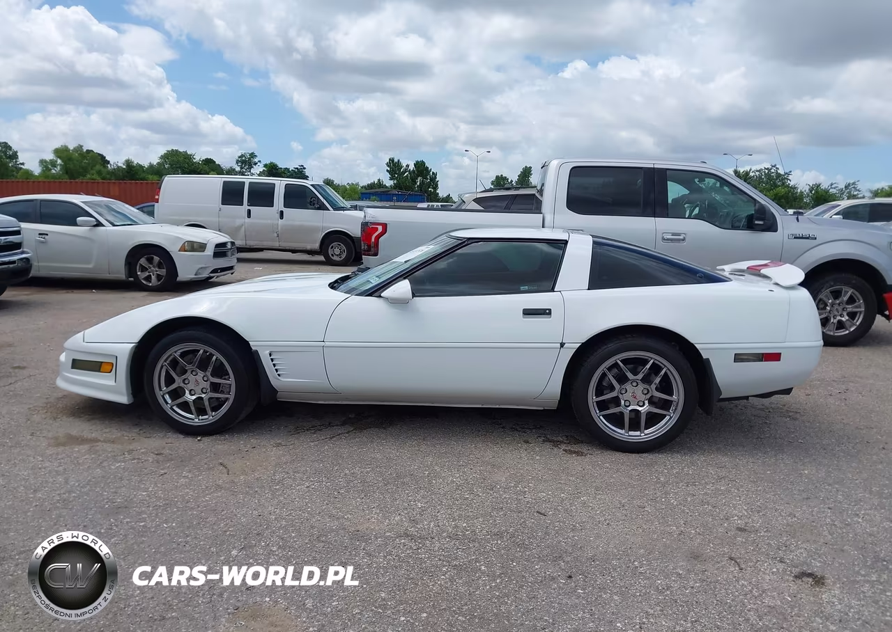 1995 Chevrolet Corvette VIN:1G1YY22P2S5115845 - 14