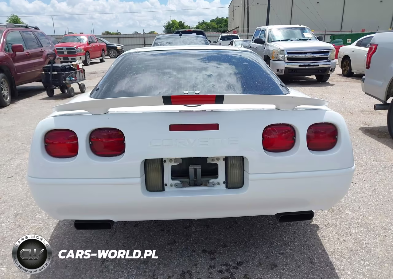 1995 Chevrolet Corvette VIN:1G1YY22P2S5115845 - 16