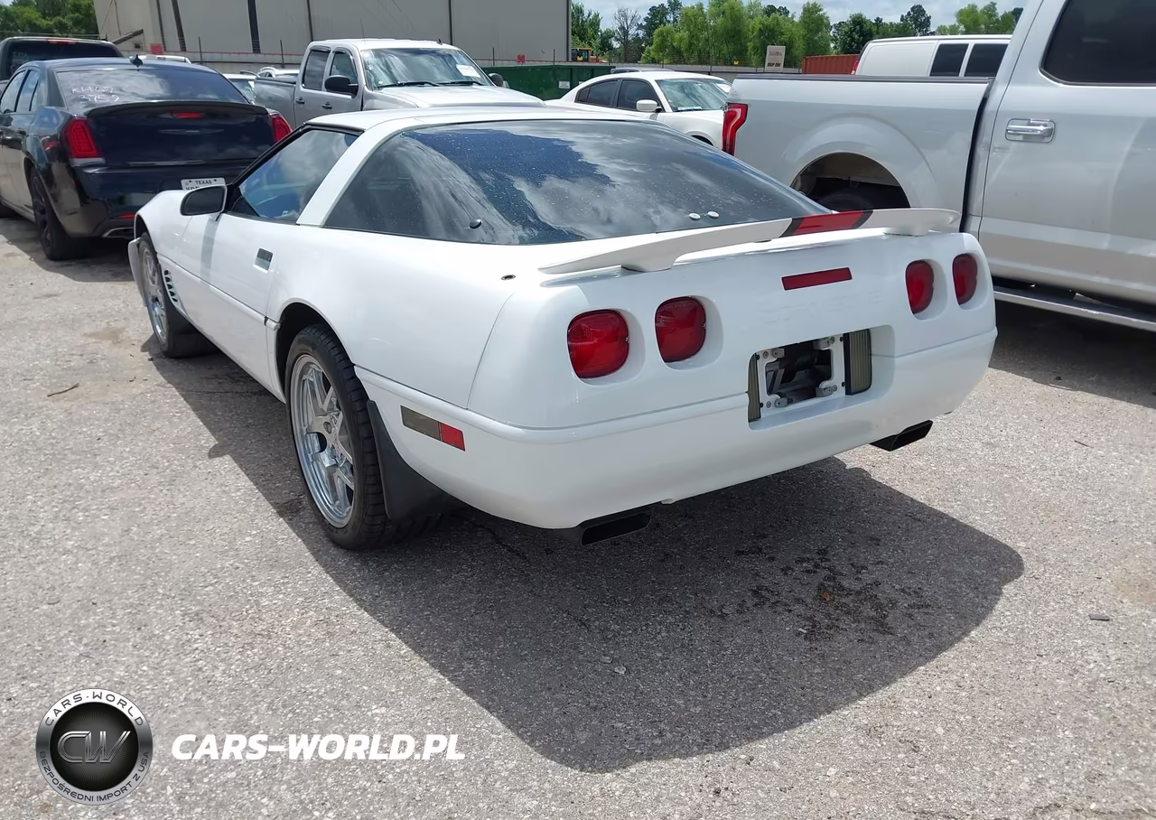 1995 Chevrolet Corvette VIN:1G1YY22P2S5115845 - 3