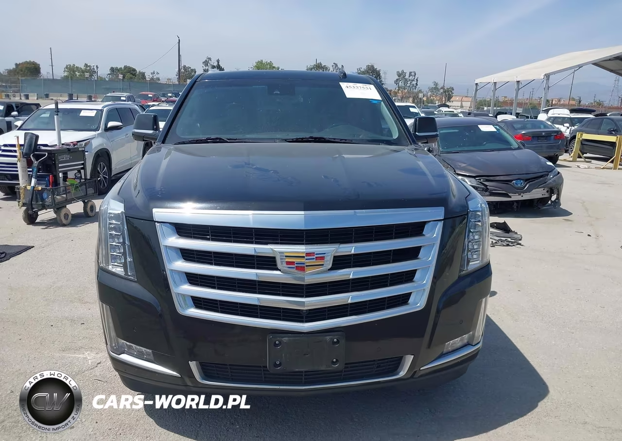 2020 Cadillac Escalade Esv 2Wd Luxury VIN:1GYS3HKJ2LR150366 - 12