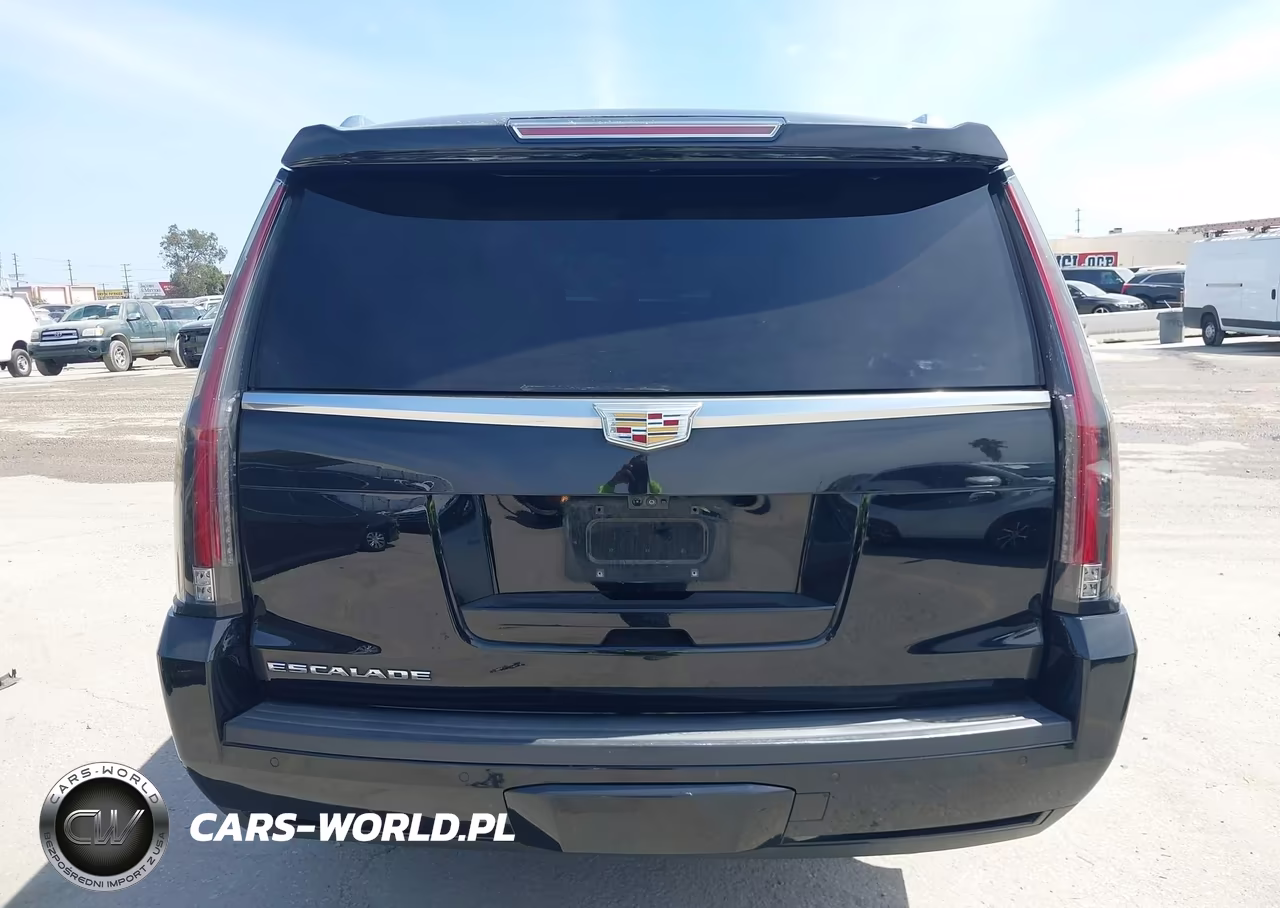 2020 Cadillac Escalade Esv 2Wd Luxury VIN:1GYS3HKJ2LR150366 - 16