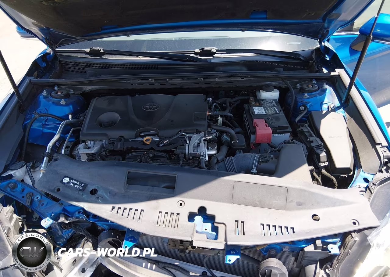 2020 Toyota Camry Le VIN:4T1L11AK6LU376016 - 10