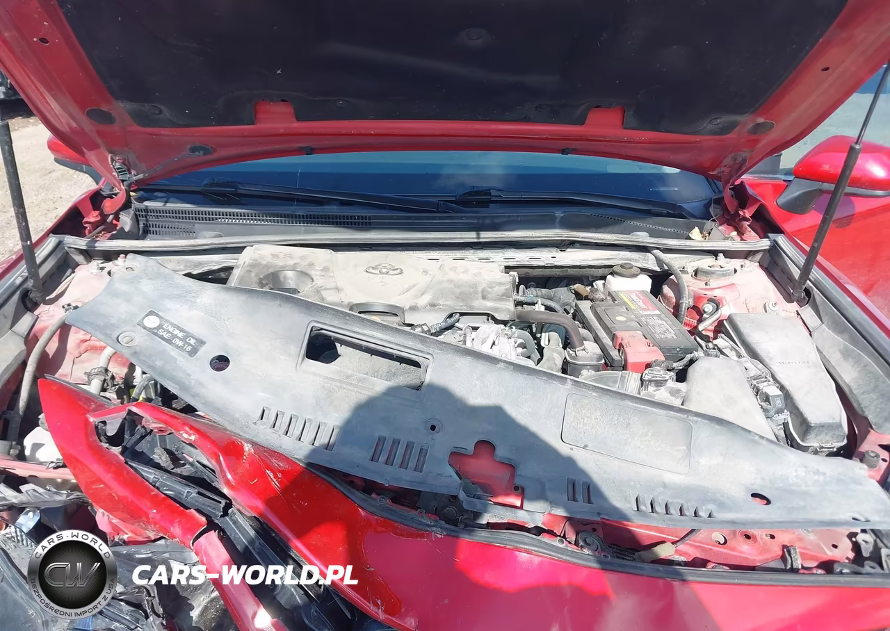 2019 Toyota Camry Se VIN:4T1B11HK6KU231588 - 10