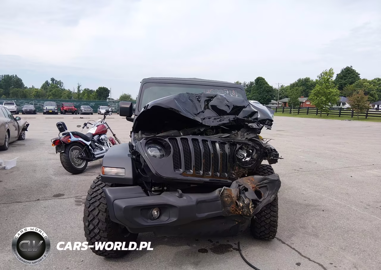 2020 Jeep Wrangler Unlimited Willys 4X4 VIN:1C4HJXDG7LW247176 - 13