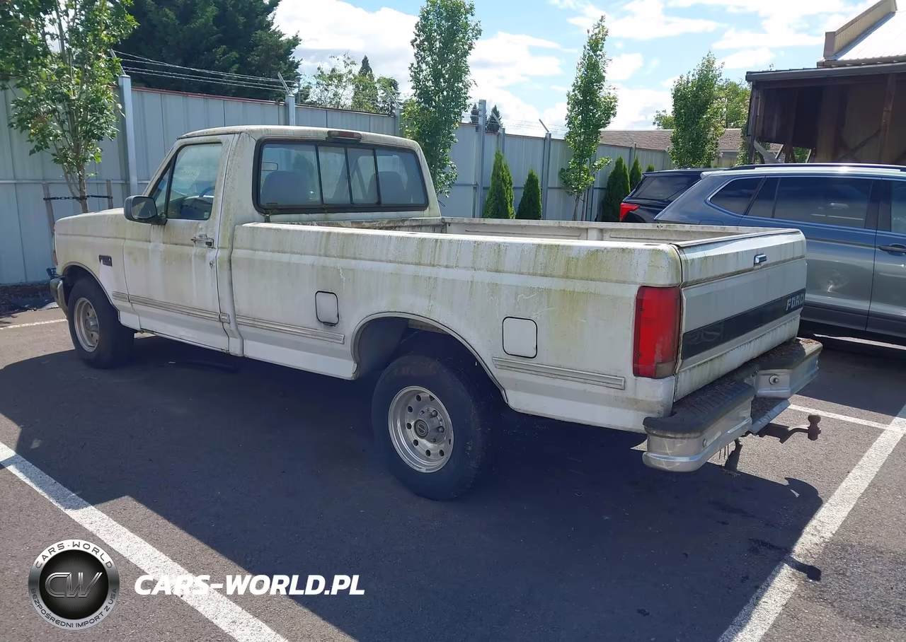 1995 Ford F150 VIN:1FTDF15N4SLB62080 - 3