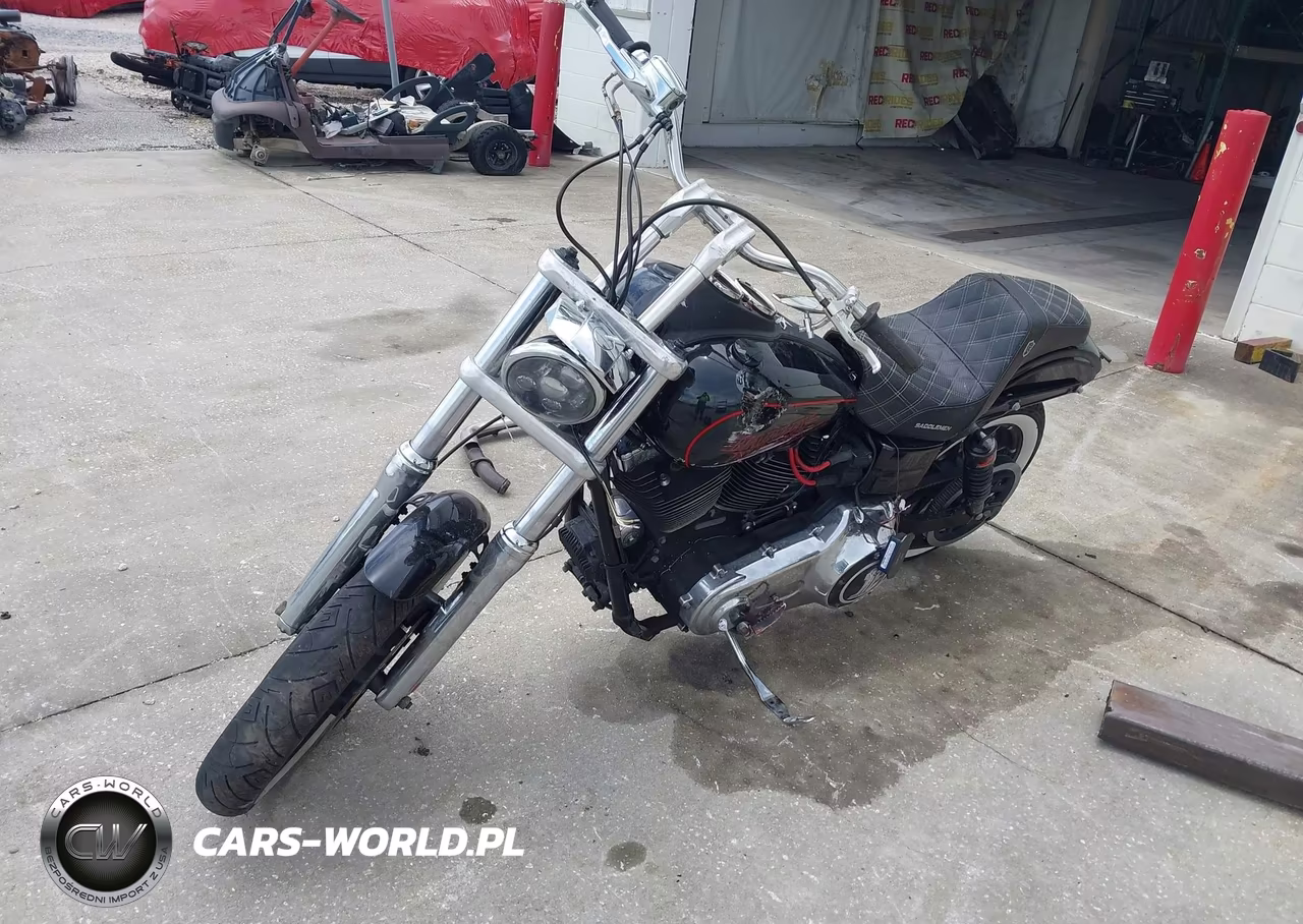2017 Harley-Davidson Fxdl Dyna Low Rider VIN:1HD1GNM13HC319269 - 13
