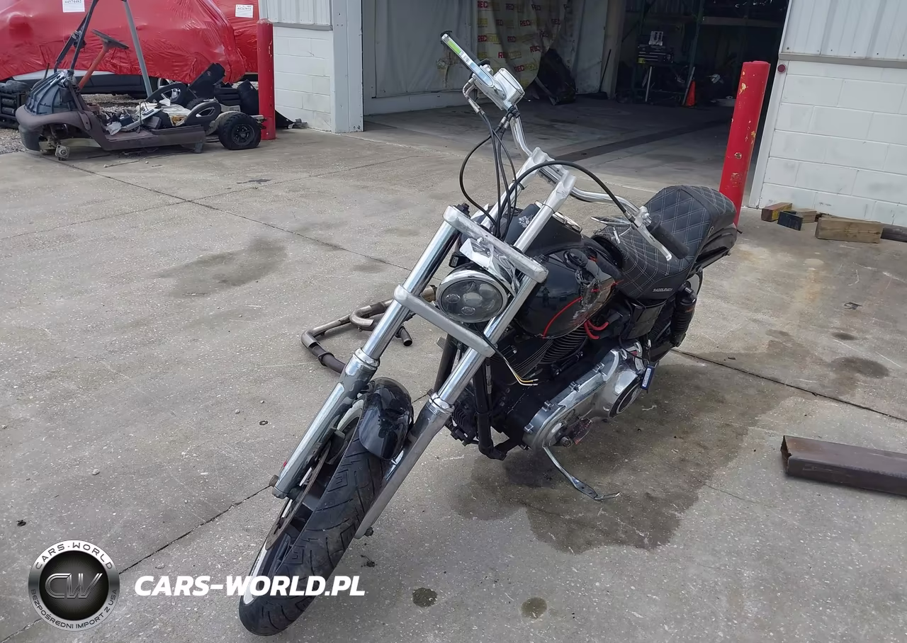 2017 Harley-Davidson Fxdl Dyna Low Rider VIN:1HD1GNM13HC319269 - 2