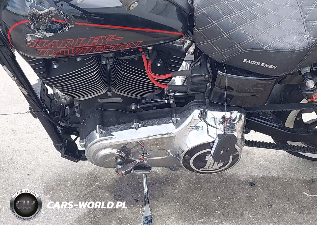 2017 Harley-Davidson Fxdl Dyna Low Rider VIN:1HD1GNM13HC319269 - 9
