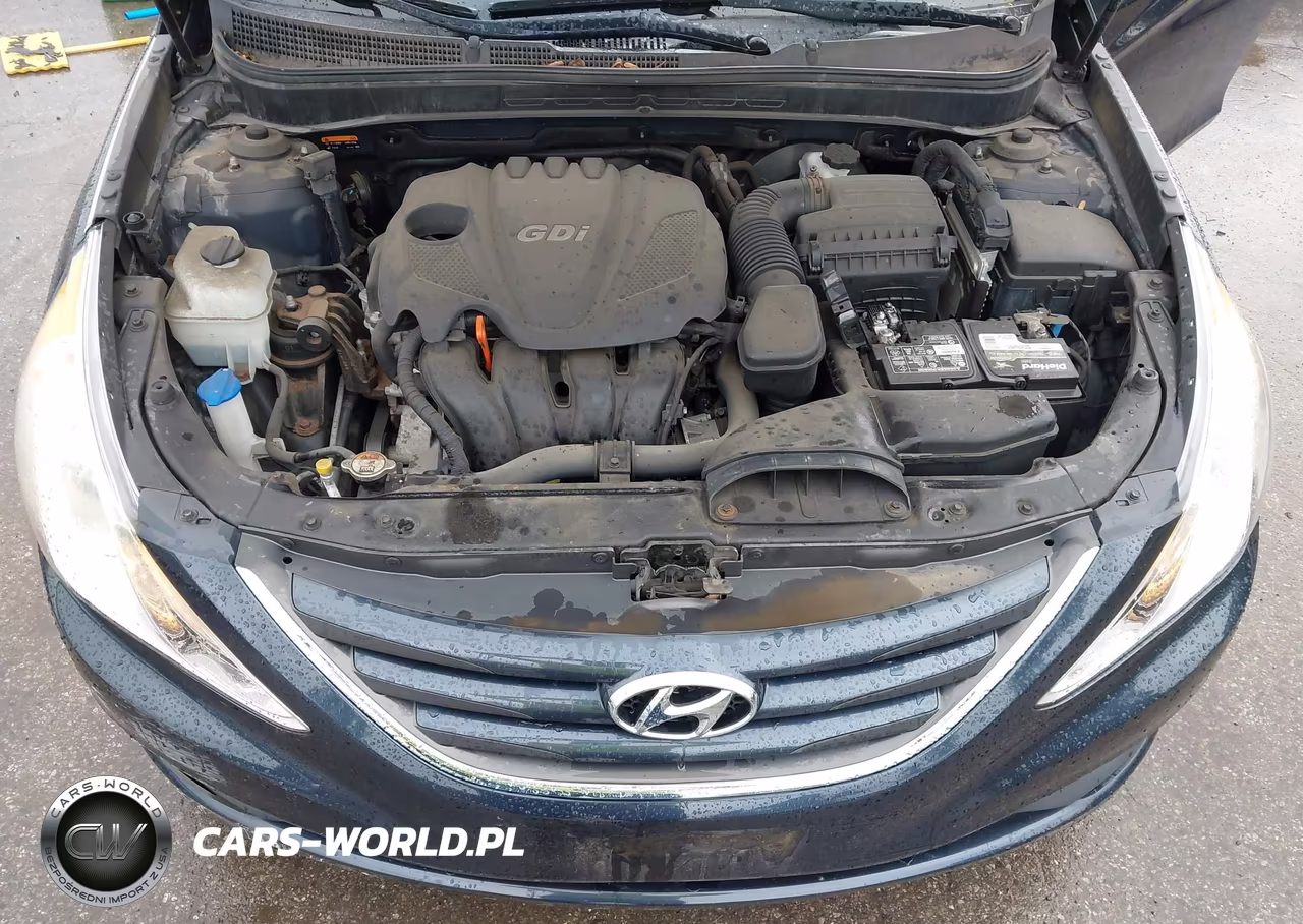 2014 Hyundai Sonata Gls VIN:5NPEB4AC2EH830859 - 10