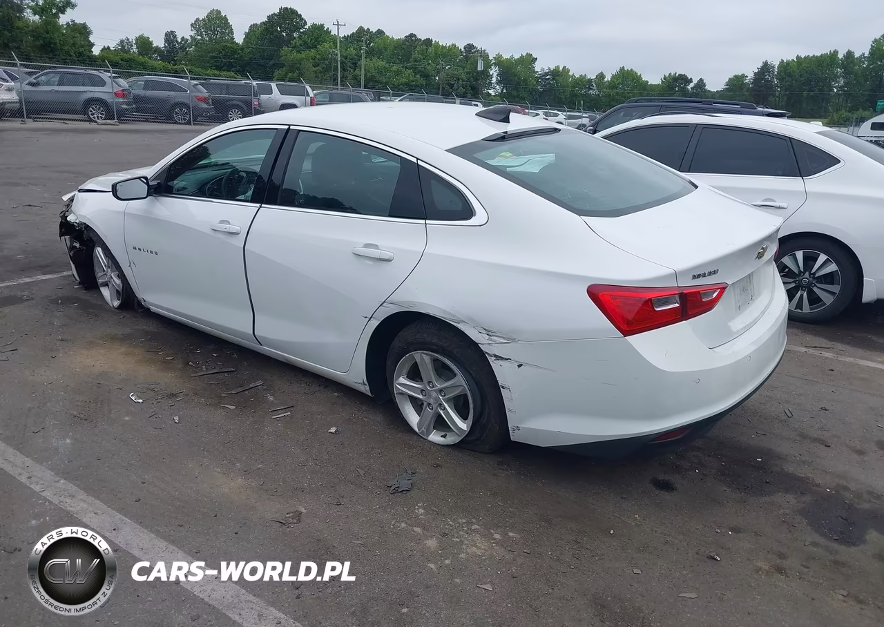 2021 Chevrolet Malibu Fwd 1Fl VIN:1G1ZC5ST1MF087311 - 3
