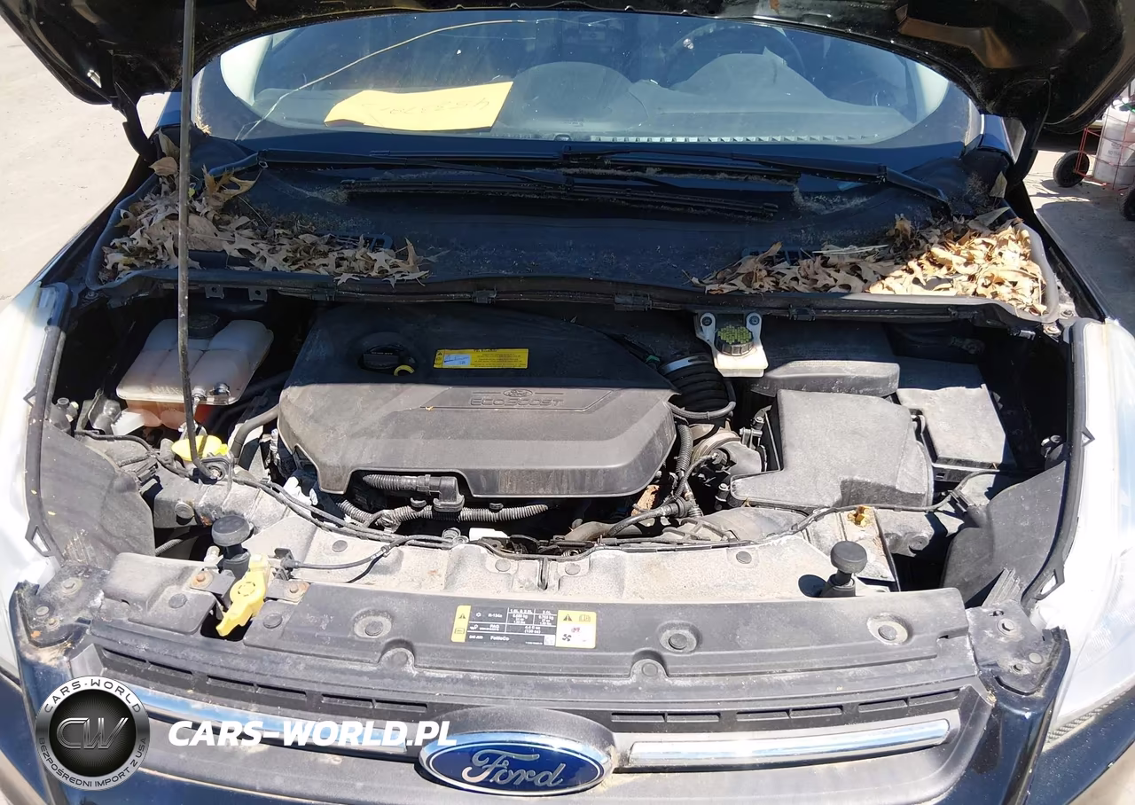 2015 Ford Escape Se VIN:1FMCU9GXXFUA88805 - 10