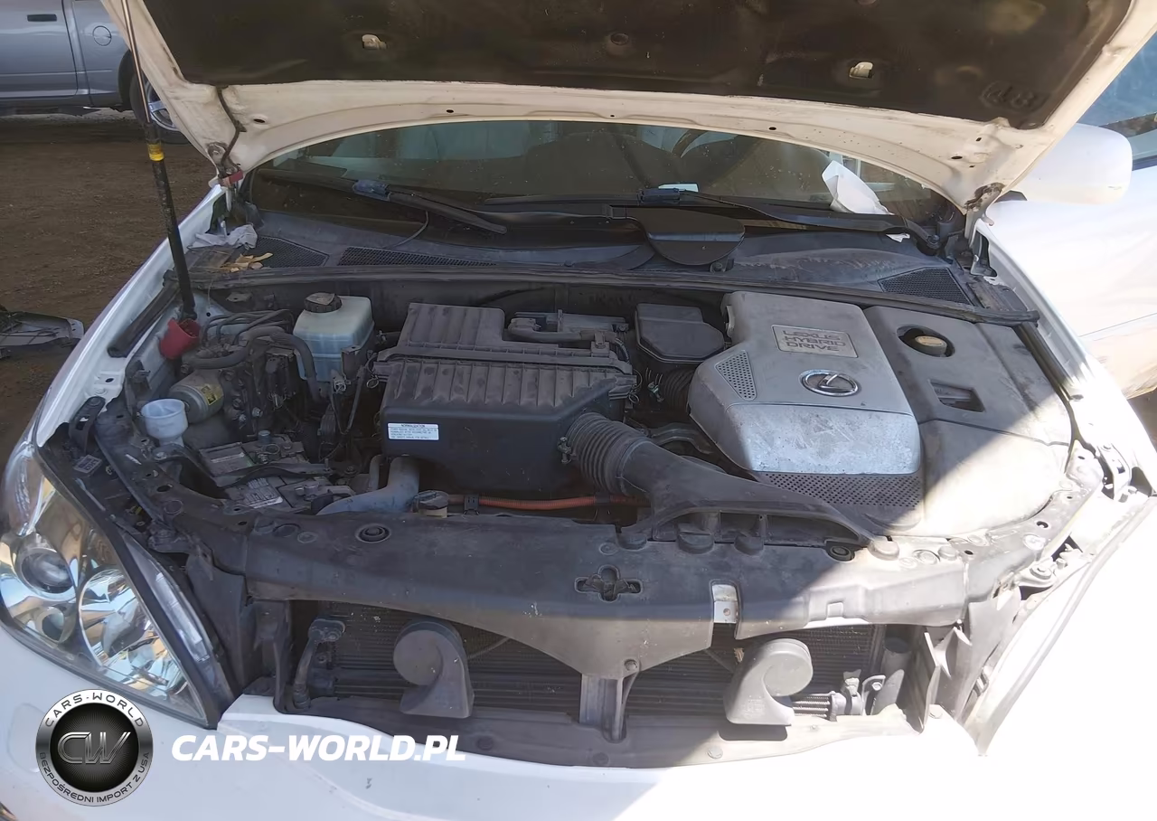 2007 Lexus Rx 400H VIN:JTJGW31U072005338 - 10