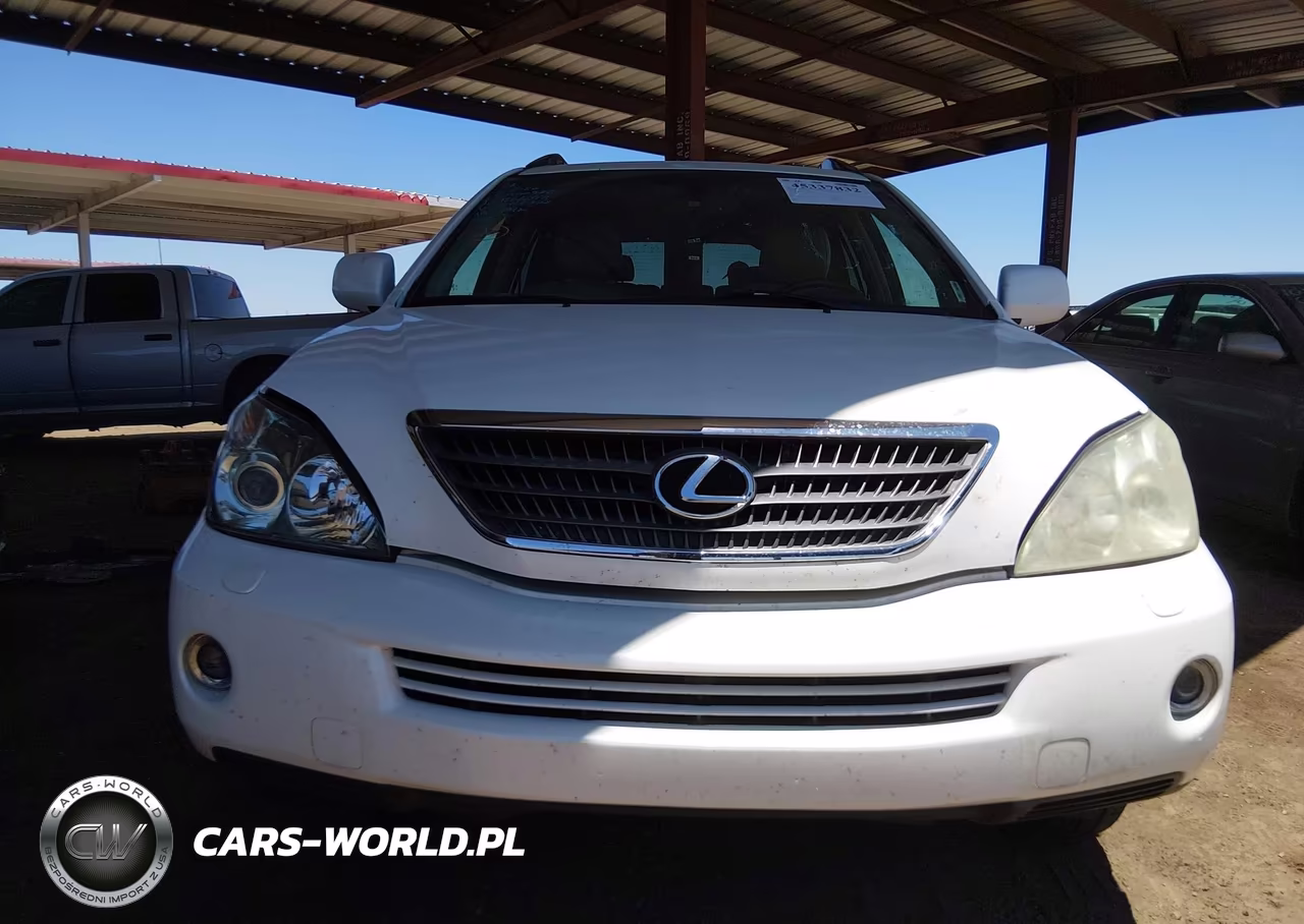 2007 Lexus Rx 400H VIN:JTJGW31U072005338 - 11