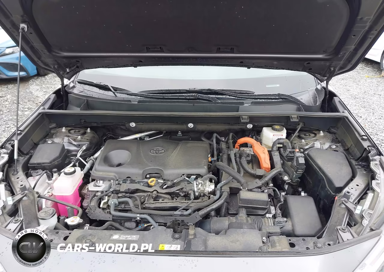 2024 Toyota Rav4 Hybrid Xle VIN:4T3RWRFV9RU113077 - 10