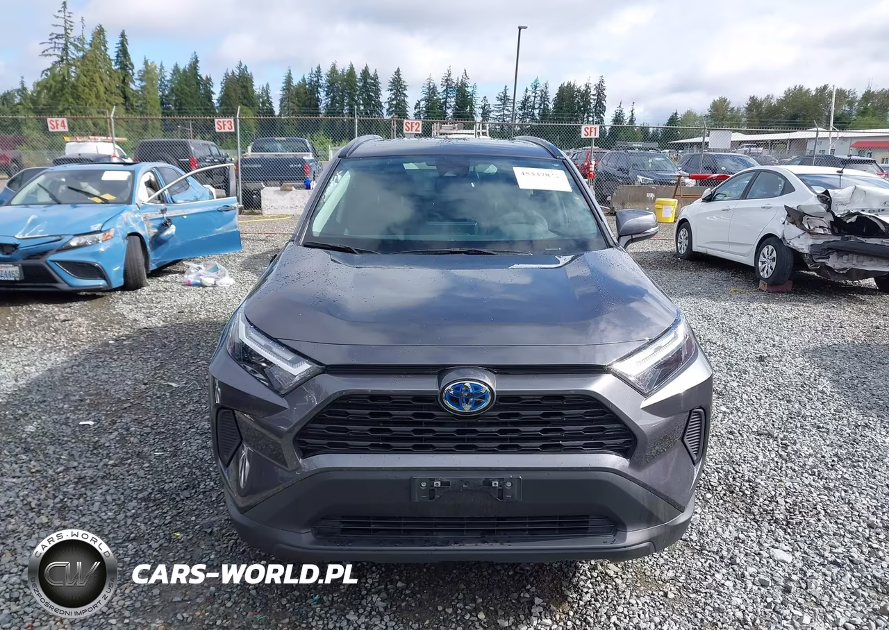 2024 Toyota Rav4 Hybrid Xle VIN:4T3RWRFV9RU113077 - 12