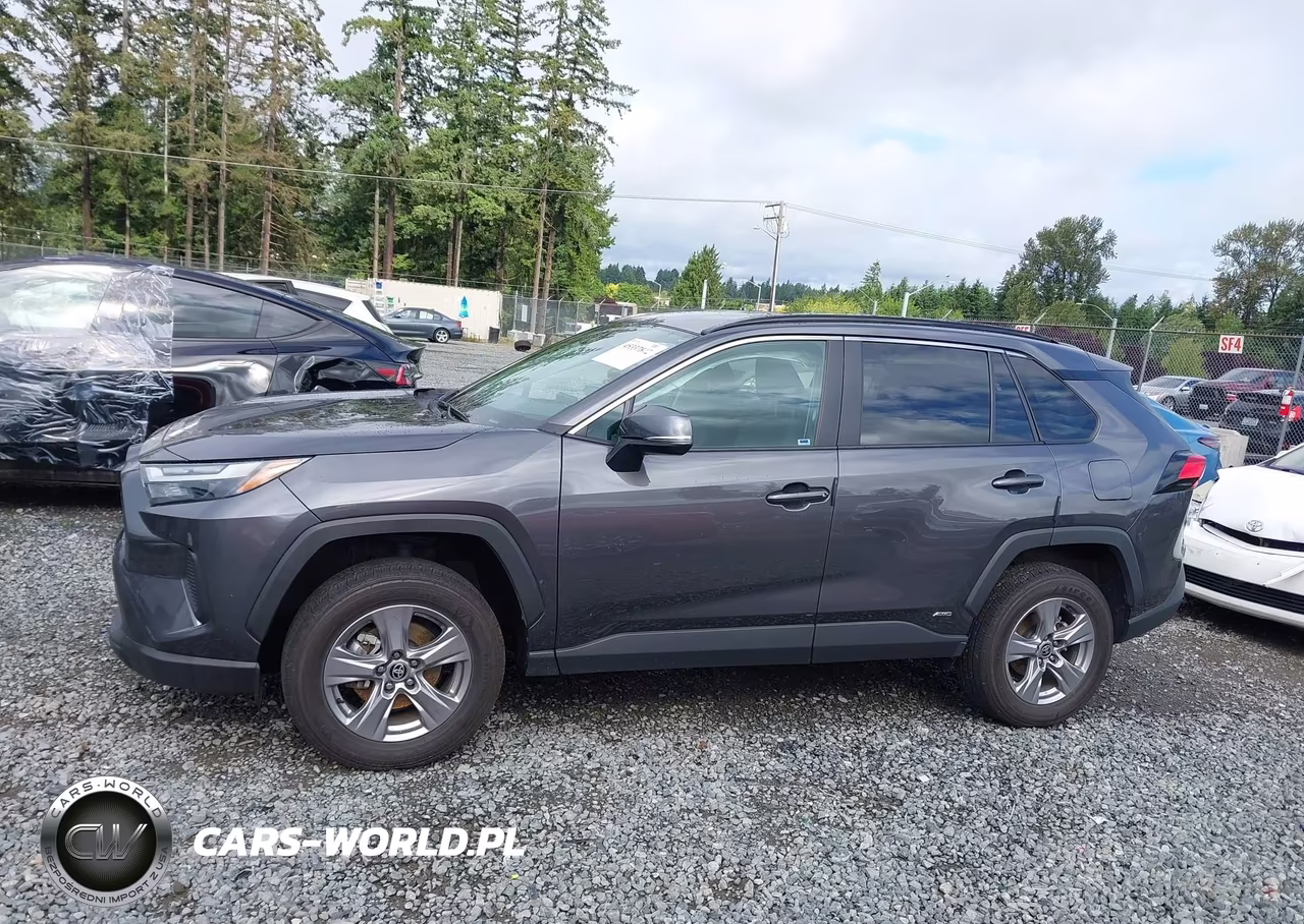 2024 Toyota Rav4 Hybrid Xle VIN:4T3RWRFV9RU113077 - 14