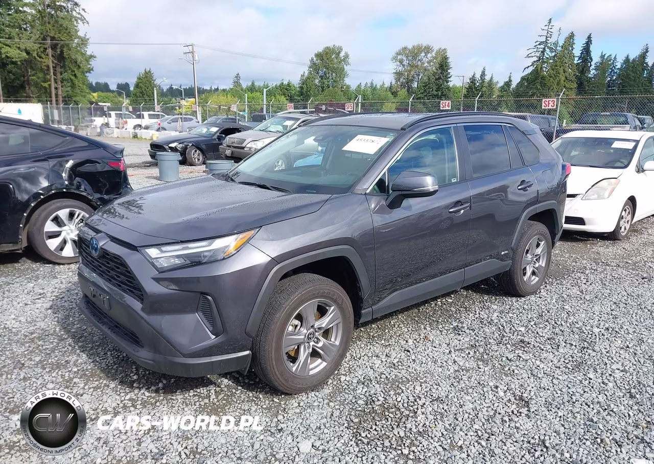 2024 Toyota Rav4 Hybrid Xle VIN:4T3RWRFV9RU113077 - 2