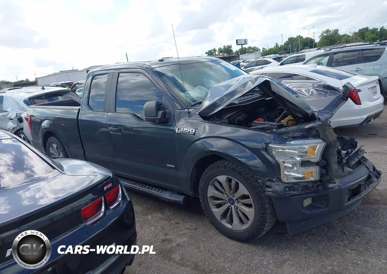 2017 Ford F-150 Xl VIN:1FTEX1CP3HKC72266 - 13