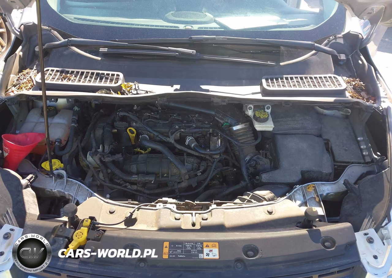 2014 Ford Escape Se VIN:1FMCU0GX2EUA69031 - 10
