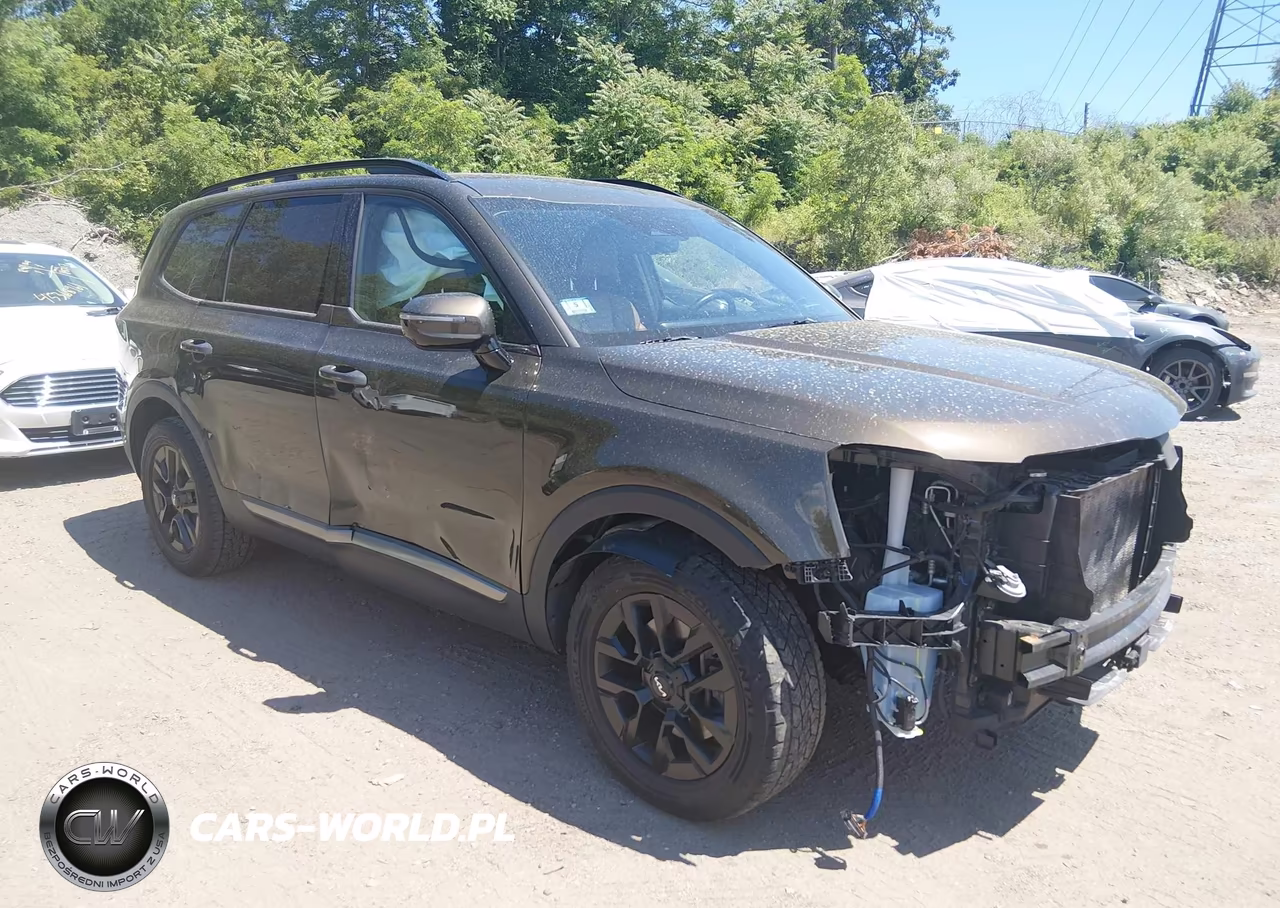 2023 Kia Telluride Sx Prestige X-Pro – zdjęcie 1 z 17