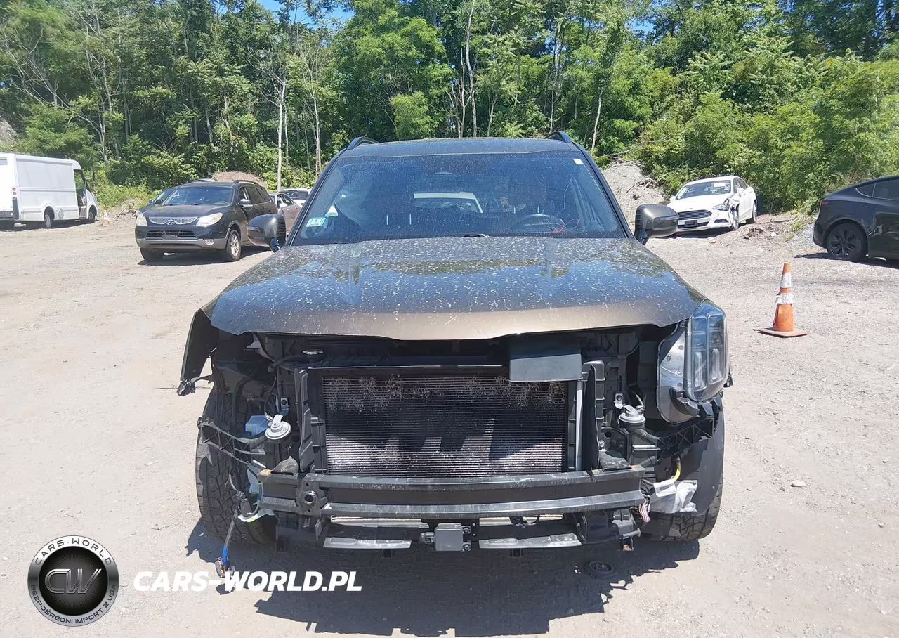 2023 Kia Telluride Sx Prestige X-Pro VIN:5XYP5DGC6PG388086 - 13
