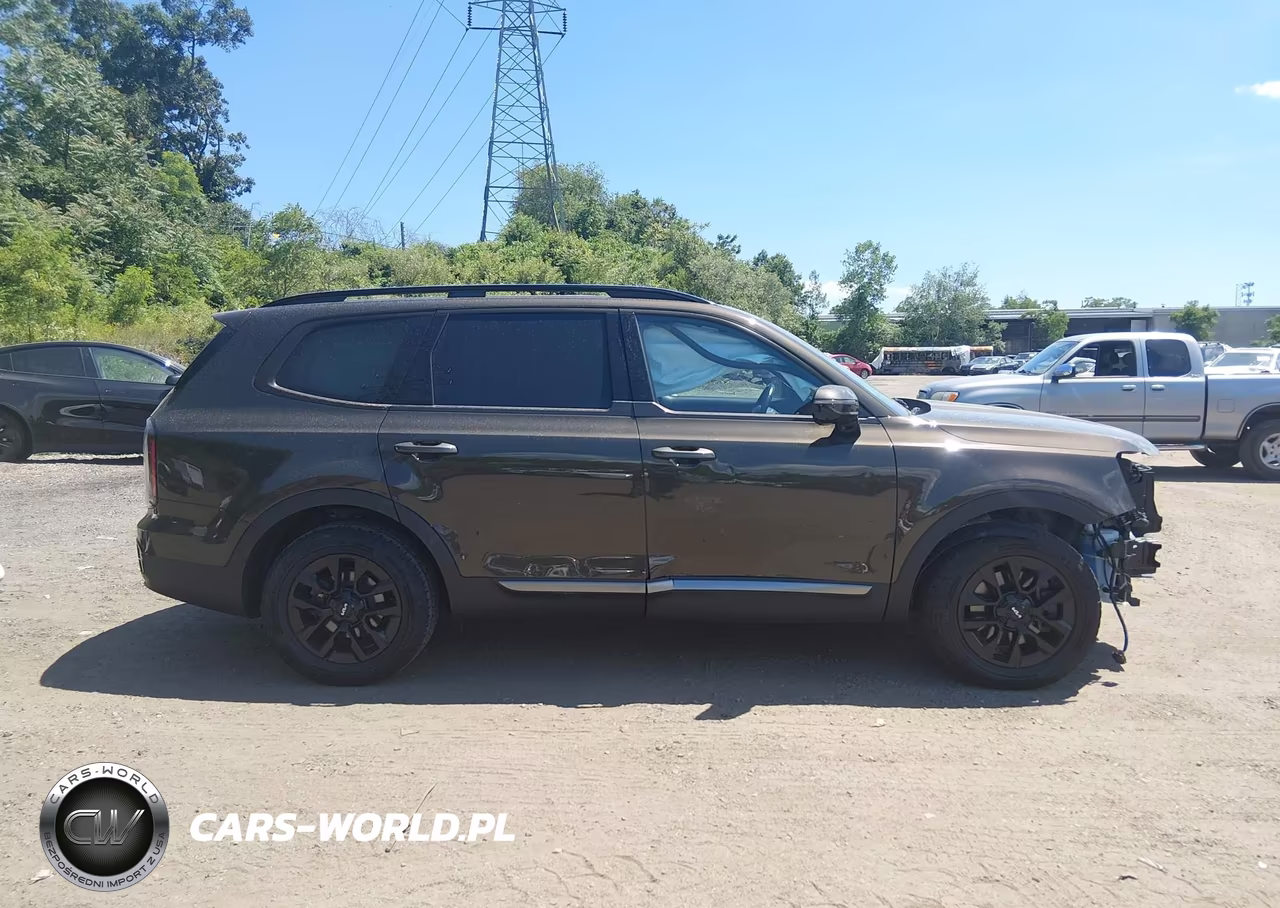 2023 Kia Telluride Sx Prestige X-Pro VIN:5XYP5DGC6PG388086 - 14