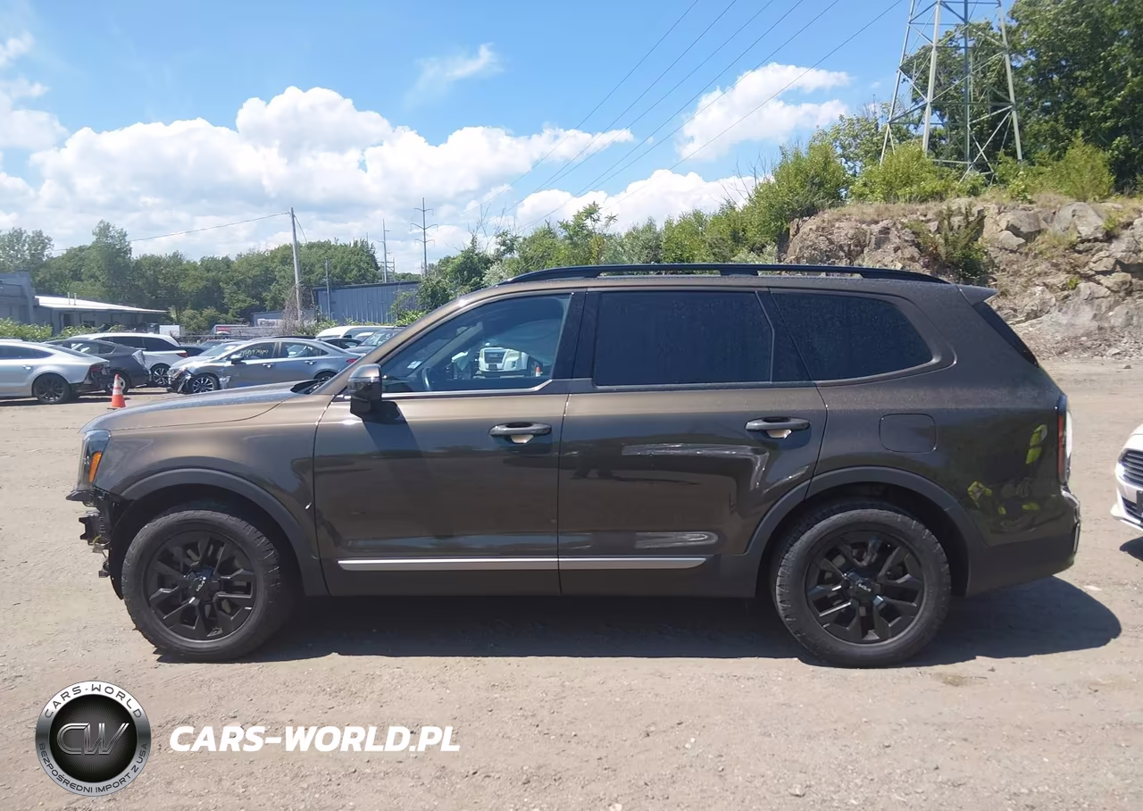 2023 Kia Telluride Sx Prestige X-Pro VIN:5XYP5DGC6PG388086 - 15