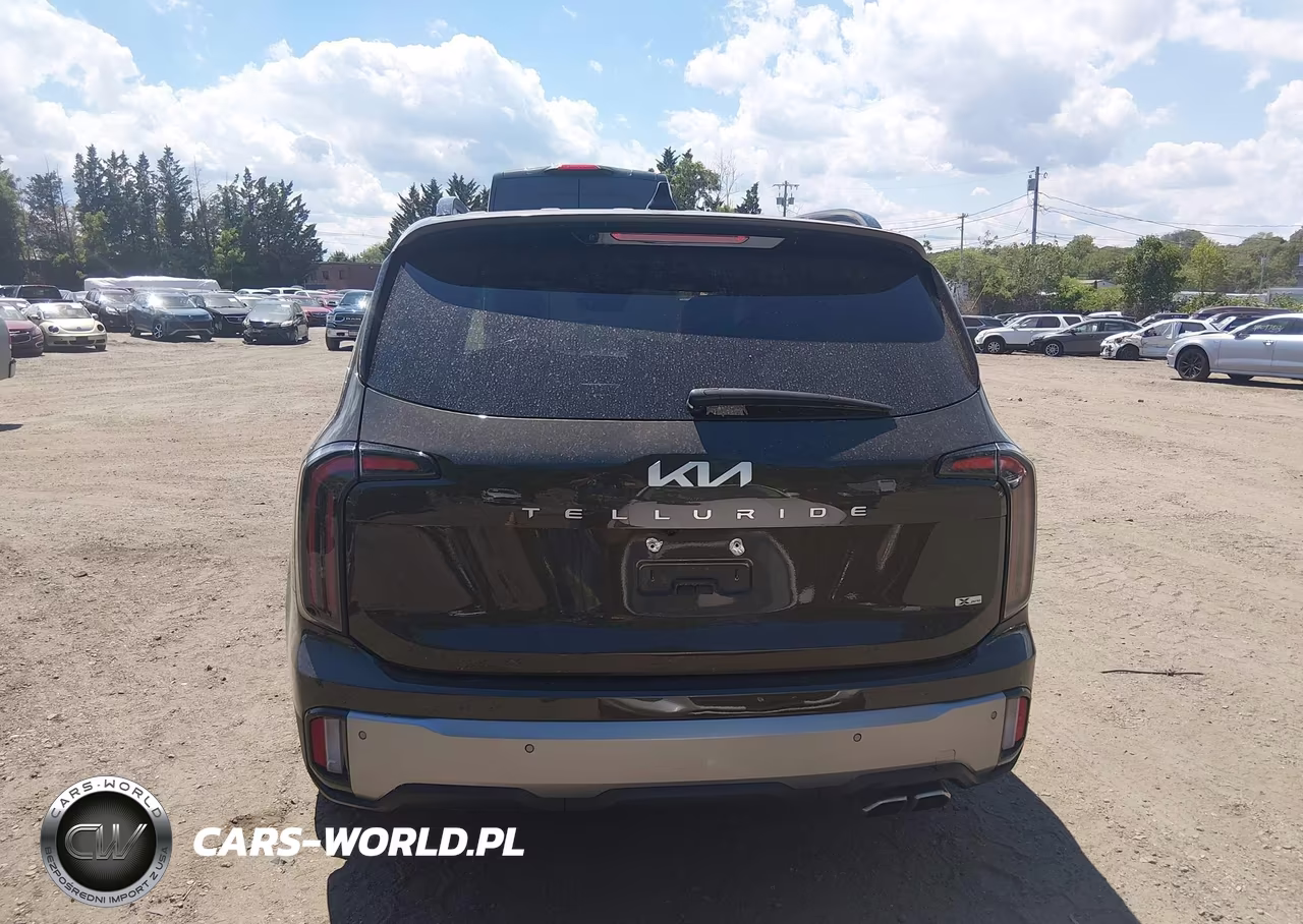 2023 Kia Telluride Sx Prestige X-Pro VIN:5XYP5DGC6PG388086 - 17