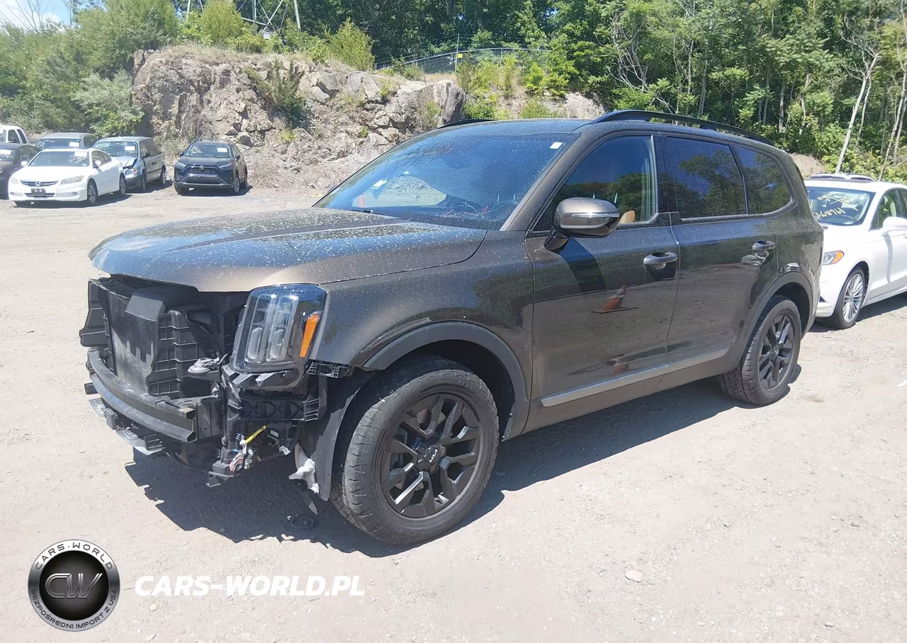 2023 Kia Telluride Sx Prestige X-Pro VIN:5XYP5DGC6PG388086 - 2