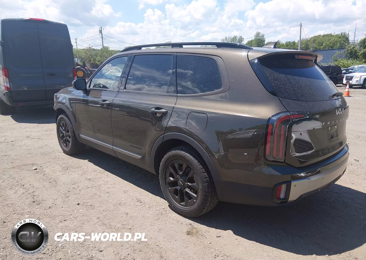 2023 Kia Telluride Sx Prestige X-Pro VIN:5XYP5DGC6PG388086 - 3