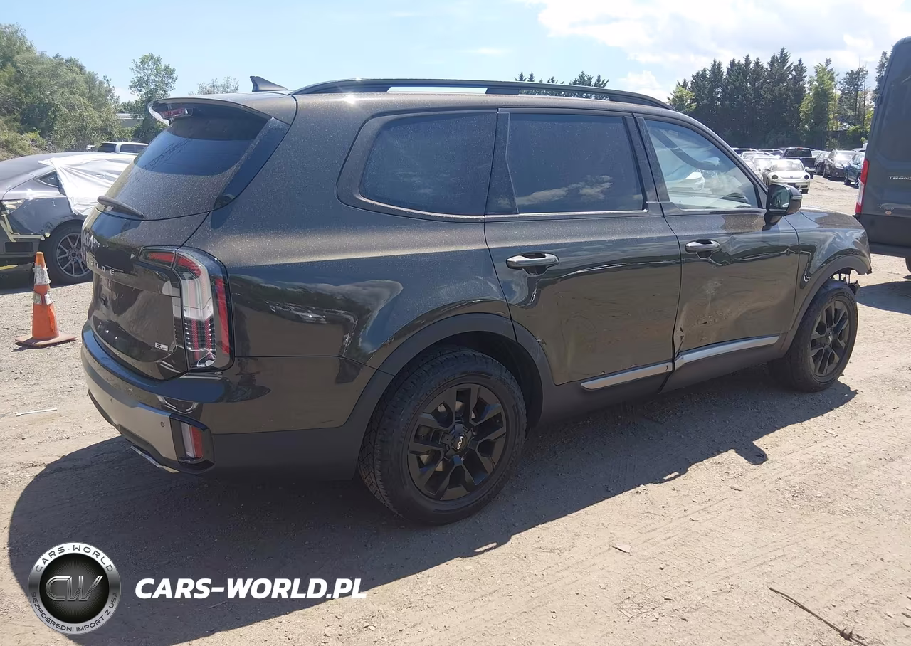 2023 Kia Telluride Sx Prestige X-Pro VIN:5XYP5DGC6PG388086 - 4